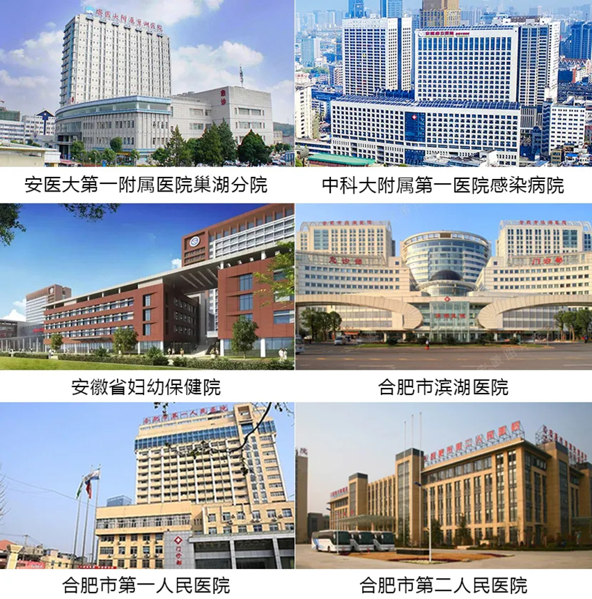【抗疫回眸】之合肥会战 【抗疫回眸】之合肥会战