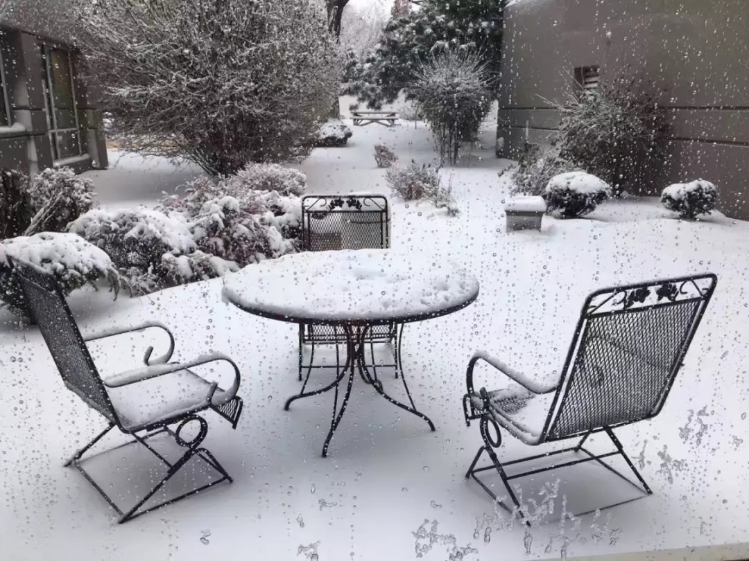 即使大雪纷飞，宝润也与您不见不散