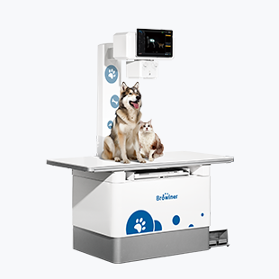 Veterinary X-ray