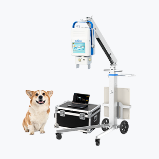 X-ray Unit for the Animal