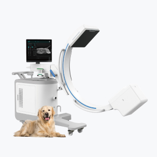 Mobile C-arm for Veterinary Applications