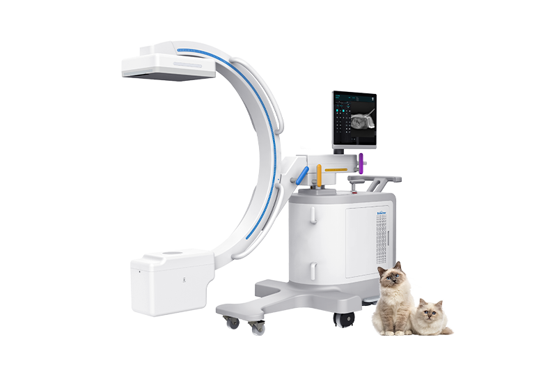 Mobile C-arm for Veterinary Applications