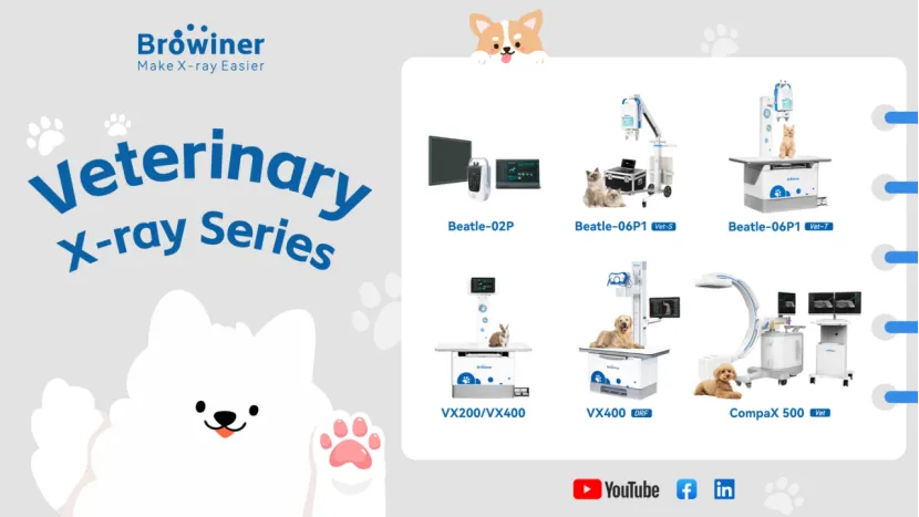 The Key Role of Digital X-Ray in Veterinary Medicine
