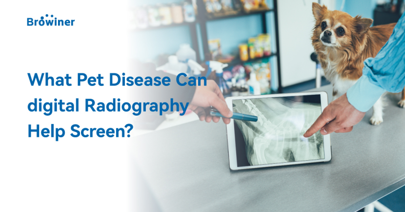 What Pet Diseases Can Digital Radiography Help Screen?