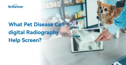 What Pet Diseases Can Digital Radiography Help Screen?