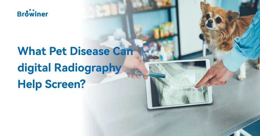 What Pet Diseases Can Digital Radiography Help Screen?