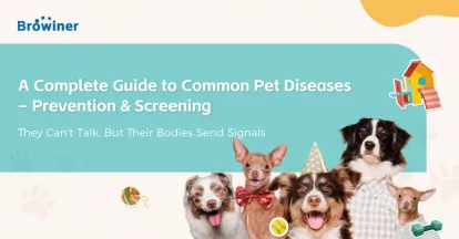 A Complete Analysis of Common Pet Diseases: From Prevention to Screening, Safeguarding the Health of Your Furry Companions