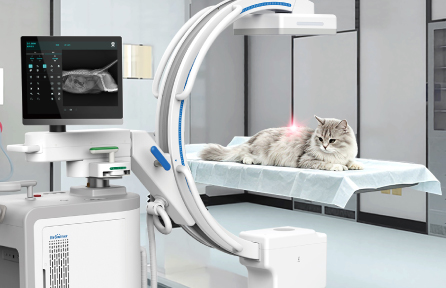 CompaX 500 Vet-3